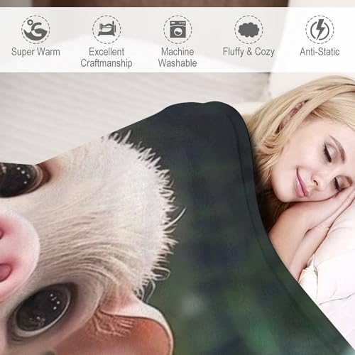 Couverture cochon en flannel lourde et moelleuse pour lit