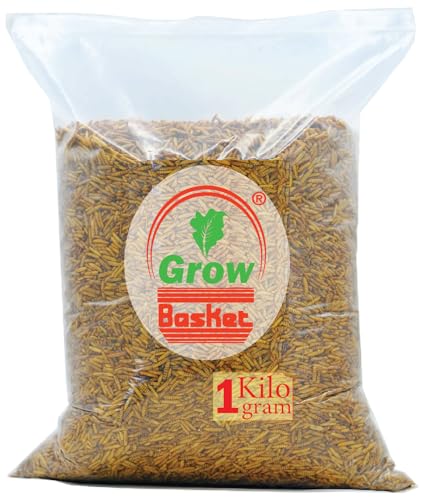 Dried Black Soldier Fly Larva Protein Rich Fish Food for Arowana, Flower Horn, Oscar, Fighter, Angelfish, Molly, Koi, Cichlids, Tetra, Discus, Redtail Shark (250 Grams) (1 kg) (B0CS35CC4K) Amazon Price History, Amazon Price Tracker