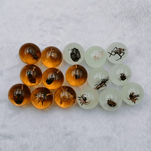 Image of Multiple Psc Spherical Insect Amber Fossil, Spherical Luminous Insect Specimen, Educational and Scientific Amber Collection (8Pcs)