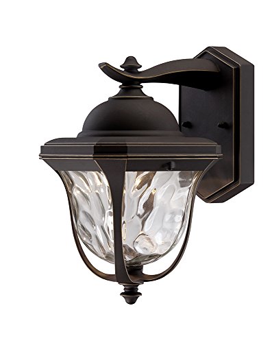 Designers Fountain EV7067-246 LED Aged Bronze Patina Outdoor Wall Lantern with Clear Hammered Glass Shade, 14"