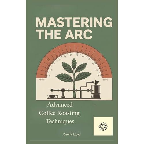 Mastering the Arc Audiolibro Por Dennis Lloyd arte de portada