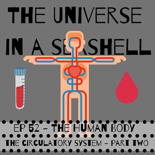 Page de couverture de The Human Body – The Circulatory System – Part Two