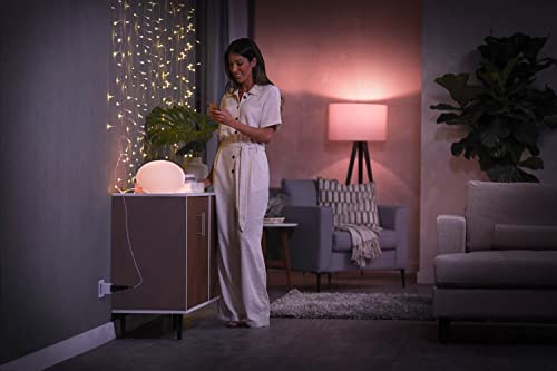 Philips Hue Smart Plug