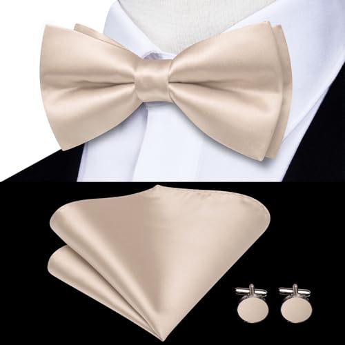 Image of Hi-Tie Men Suspender Bowtie Set Suspenders Pre-tied Bow Tie Pocket Square Cufflinks Adjustable Y Shape 6 Clips Braces Tuxedo