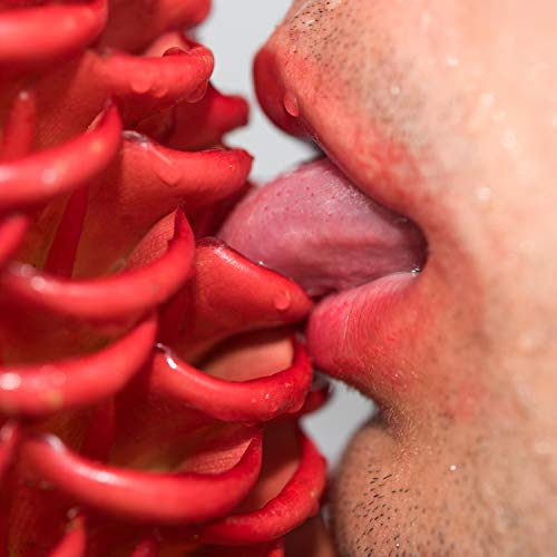 Collarbones feat. Banoffee