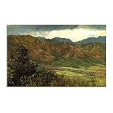 Calidad: Impreso en lienzo, los colores están saturados, la claridad es perfecta y no se desvanece fácilmente. muy lindo.