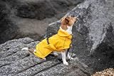 Rukka Hayton Eco Jacket Hunde- und Welpenbekleidung, Gelb, Größe 25