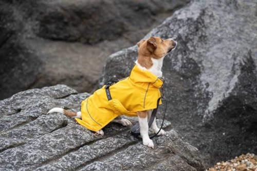 Rukka Hayton Eco Jacket Hunde- und Welpenbekleidung, Gelb, Größe 25