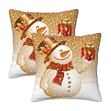 Photo Gallery tzttzt set di 2 federe per cuscini, motivo natalizio con pupazzo di neve, 30,5 x 30,5 cm, morbide, decorative, per divano, letto, soggiorno, fattoria