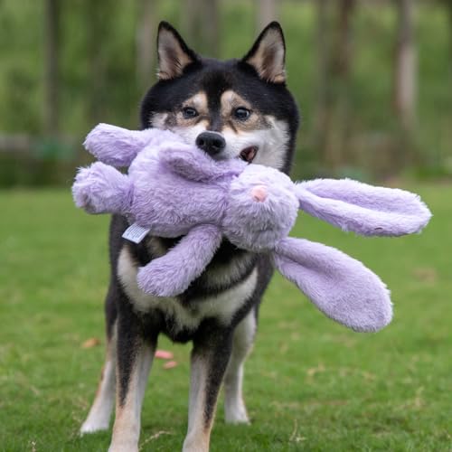 Image of Best Pet Supplies Interactive Bunny Buddy Dog Toy with Crinkle and Squeaky Enrichment for Small and Medium Breed Puppies or Dogs, Cute and Plush - Bunny (Purple), Small