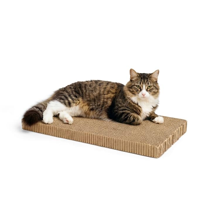 EveryYay by Petco Scratchin' the Surface - Recambios de cartón de doble ancho para rascadores de gatos, 18 pulgadas de largo x 9 pulgadas de ancho x 4,45 cm de alto, paquete de 2