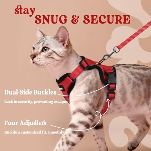 Image of rabbitgoo Cat Harness and Leash Set, Escape Proof Vest, Red | Soft Breathable Mesh, Easy Adjustable Fit, Snap Buckles, Sturdy Clip, Reflective Strips, for Medium to Large Cats Walks, M