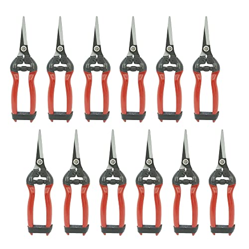 Zenport H300-12PK H300 Harvest Shear Long Straight Snip Carbon Steel Blade Box of 12, Red #1