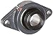 Browning VF2E-235 Normal-Duty Flange Unit, 2 Bolt, Eccentric Lock, Regreasable, Contact and Flinger Seal, Cast Iron, Inch, 2-3/16" Bore, 7-1/4" Bolt Hole Spacing Width, 8-1/2" Overall Width