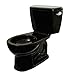 TOTO CST743SR#51 Drake Round Bowl and Tank, Ebony