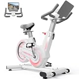 zazari Quiet Magnetic Upright Bike