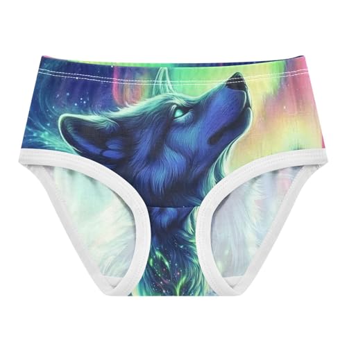 Aurora Wolf Toddler Girls's Underwear 2T 202c0278