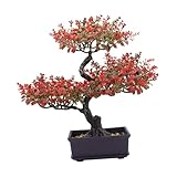 Photo Gallery gralara albero bonsai artificiale, pianta finta in vaso, realistico, finto regalo, pianta artificiale ornamentale per interni, cucina, mensola, scrivania, rosso Photo Gallery gralara albero bonsai artificiale, pianta finta in vaso, realistico, finto regalo, pianta artificiale ornamentale per interni, cucina, mensola, scrivania, rosso
