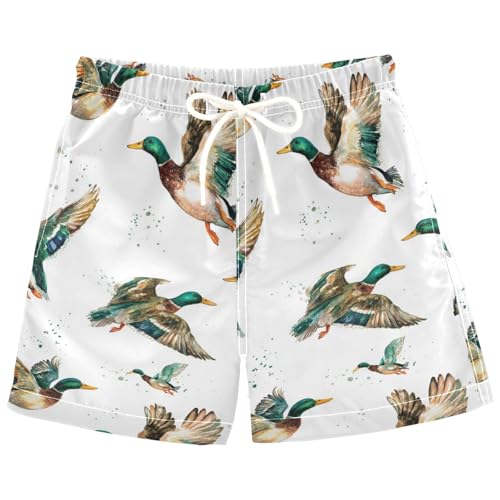 Flying Swimming Ducks Boys Swim Trunks Mallard Duck Toddler Beach Board Shorts Baby Summer Bathing Suit 4T Multicolor