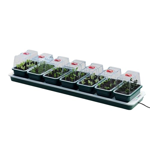 Oakland Gardens Super 7 Electric Windowsill Propagator | Heated Seed Starter Kit with 7 Mini Trays & Vented Lids | Indoor Seedling & Cutting Growing System | Planter