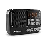 Amkette Pocket FM Radio Portable Multimedia Bluetooth Speaker with Voice Recorder, USB, SD Card and Clock (Black)