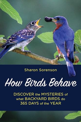 How Birds Behave: Discover the Mysteries of What Backyard Birds