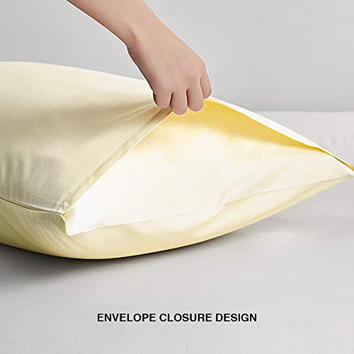 FLXXIE Microfiber Pillow Cases Queen Size Set of 2, Soft Pillowcases with Envelope Closure, Wrinkle Resistant Pillow Covers, 20x30, Ivory
