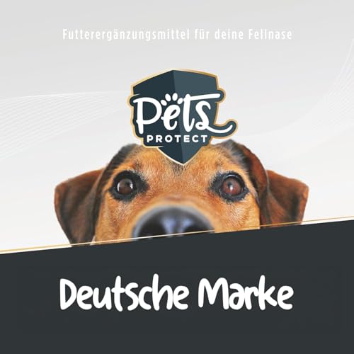 Foto von Pets Protect Welpen Kau-Knochen 5 STK. - für Hunde-Welpen ab der 8. Woche