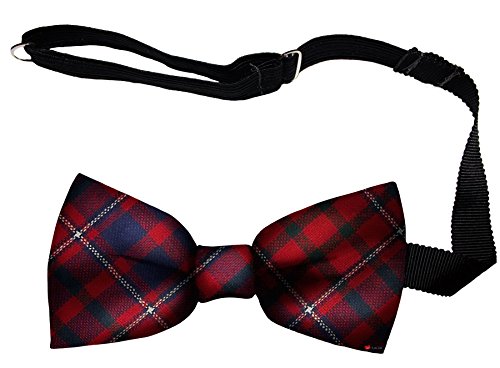 Noeud papillon homme en laine d'Écosse, le cadeau idéal pour lui