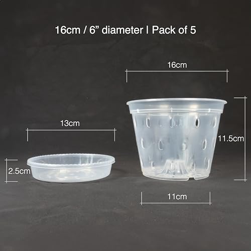 Greenology 15cm / 6" Pack of 5 Orchid Flower Pots with Saucers and Side Drainage in Durable Soft Clear Plastic - Image 2