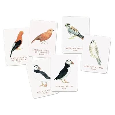Match a Pair of Birds: A Memory Game Paperback August 4, 2015