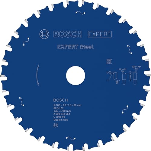Bosch 1x EXPERT Steel filaire pour scies à sec portatives