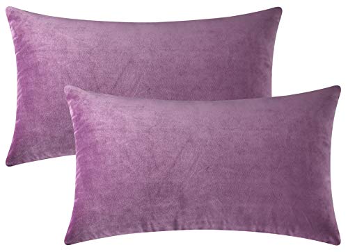 Mixhug Set of 2 Cozy Velvet Rectangle Decorative Throw Pillow Covers for Couch and Bed, Lilac, 12 x 20 Inches