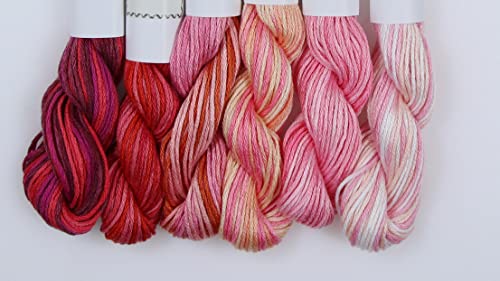 Image of KCS Big skeins of 25 Meters Size 25 Color Variegated Cross Stitch Stranded Threads,6 skeins,11