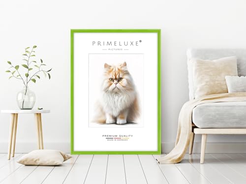 Cadre photo sur mesure 36 x 46 bois vert brillant pour poster