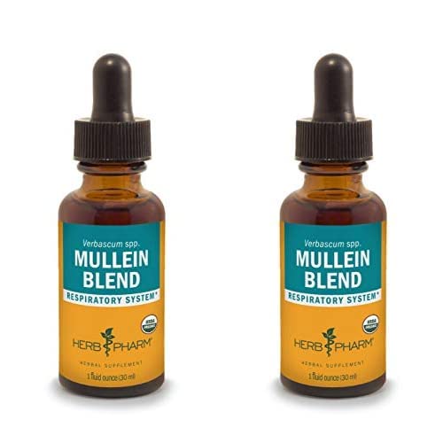 Herb Pharm Certified Organic Mullein Blend Liquid Extract for Respiratory System Support - 1 Ounce (Pack of 2)