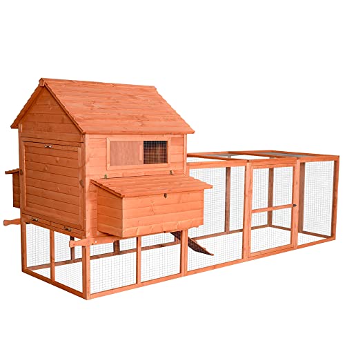 Top 10 Best Chicken Coops