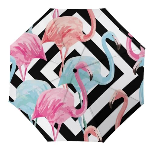 Parapluie pliant fleurs de paon automatique compact voyage femme homme solide