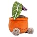 Russ Greenhouse 12-Inch Black Velvet Alocasia Plant Plush - Ultrasoft Official Jazwares Plush - Ages 3+
