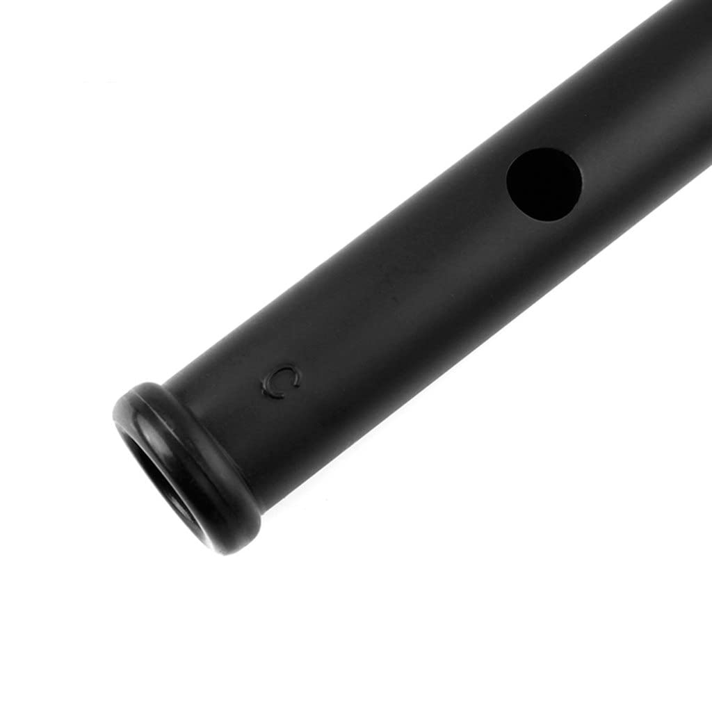 Flauto In Plastica ABS Con Chiave C/D Fischietto Irlandese Strumento Musicale Tradizionale A Fiato(D key)