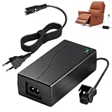 Alimentatore 29 V 2 A per poltrona reclinabile e divano elettrico, adattatore di alimentazione trasformatore compatibile con Okin, Limoss, Pride, Lazboy, motori di sollevamento Chair, 2 pin cavo 185