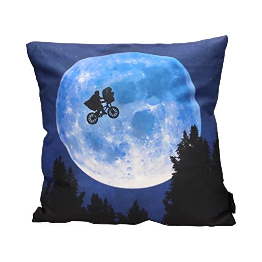 COJIN Cuadrado Poster E.T. ENVASADO VACIO