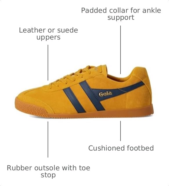 Image of Gola Harrier