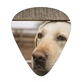 ❥Tamaño de la púa de guitarra: Ancho: 2,6 cm (1,02 pulgadas); Alto: 3 cm (1,18 pulgadas). Ideal para guitarristas profesionales, intermedios y principiantes.