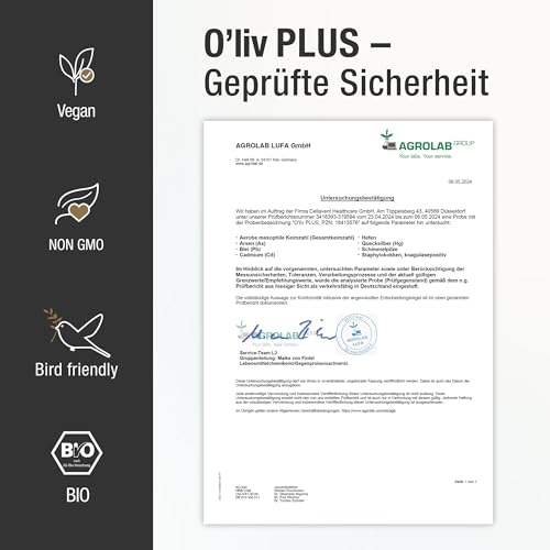 Das Olivenöl mit Gesundheitswert – extra hoher Polyphenol-Gehalt 750 mg/kg – Bio-Qualität – nur 1 Esslöffel/Tag – Oliv PLUS – 500 ml – 50 Portionen