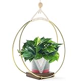 Modern Boho Hanging Planter - Macrame Plant Hanger for Indoor Plants Succulents or Air Plant Holder - Hang from Wall Or Ceiling - Minimalist Plant Shelf - Brass Wood Shelves - Flower Pot NOT Included