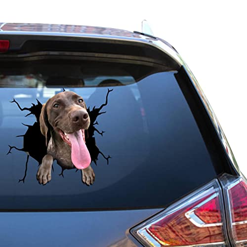 Camellia Print German Shorthaired Pointer Stickers German Shorthaired Pointer Window Decal Kawaii Bumper Racing Stickers for Guys Funny Vinal Office Sticers