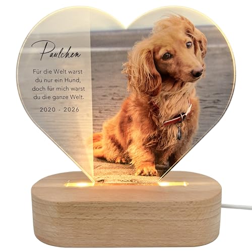 DEL MÀ Unique & Personal Gedenktafel Hund Andenken an verstorbene Hunde LED-Lampe aus Acrylglas personalisiert zur Erinnerung & Trauer Glasherz mit Foto Geschenk für Katzenbesitzer inkl. Holzfuß