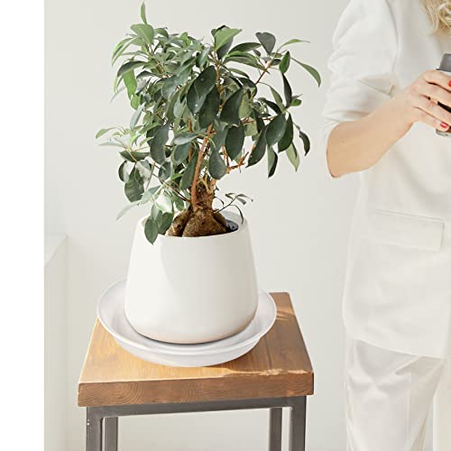 Bleuhome 6 Pack Plant Saucer Tray, 4 5 6 8 10 12 13 15 17 19 Inch Plant Saucers, Heavy Duty Plastic Plant Drip Trays For Indoors, Flower Plant Water Tray, Plant Trays For Pots Base (6 Inch, Clear) #TOP2