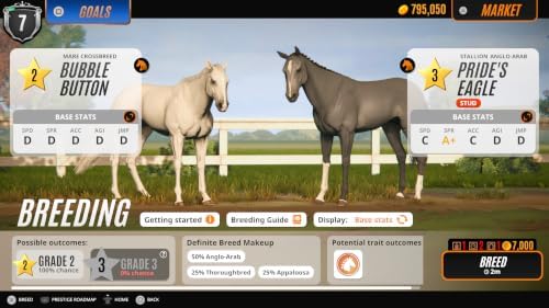 Rival Star Horse Racing
